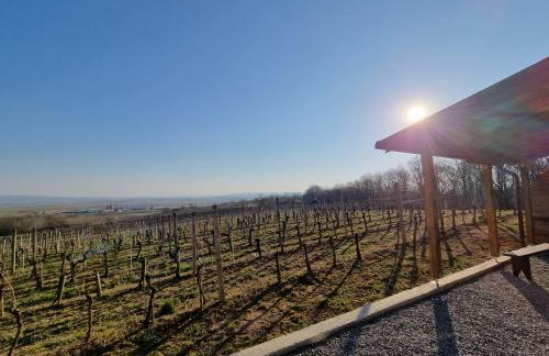 Kuća za odmor Baron - Foto 50