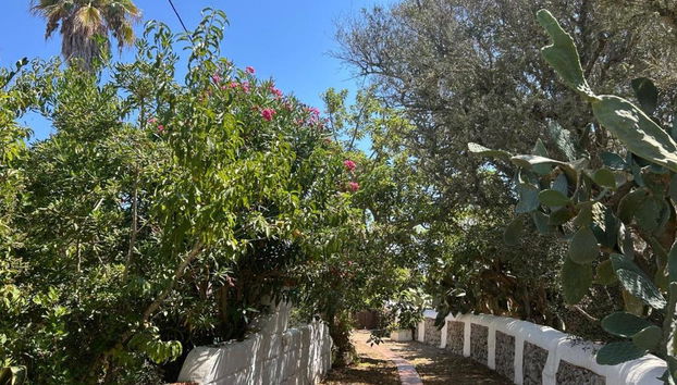 Matchani Gran - Foto 4