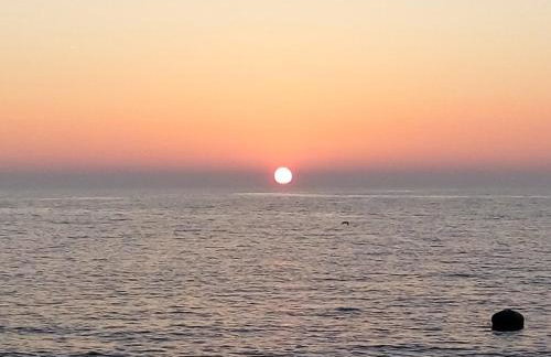 Apartment Asparagus - Photo 25