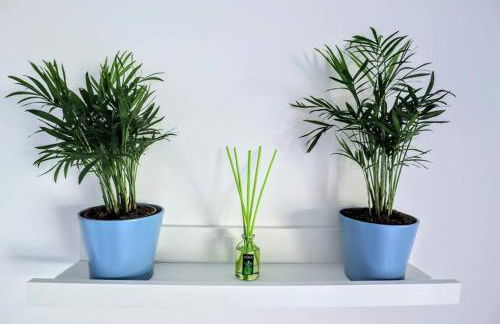 Blue Marine Home - Parking, Pool, AC, WiFi - Photo 13