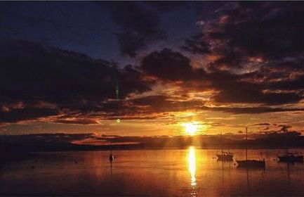 Tramway Cottages - Photo 84