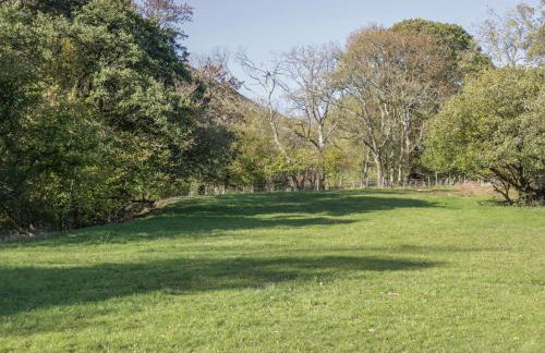 Dingle Den - Photo 15