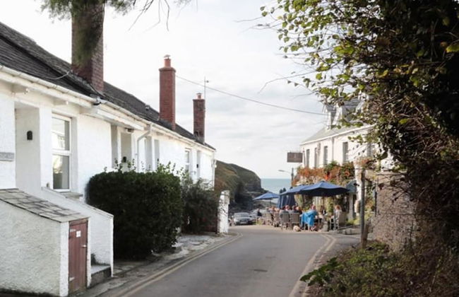 Green Door - Courtyard - Foto 11