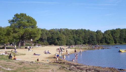 Le petit paradis de broceliande - Foto 4