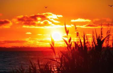 Maison paisible avec jardin - proche du lac de Sanguinet - Foto 29