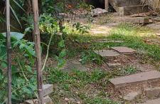 Casa na praia com quintal amplo e piscina - Foto 11