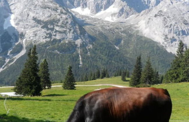 Penthouse in Ostseebad Sierksdorf - Foto 32