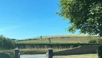 The Barton - Photo 4