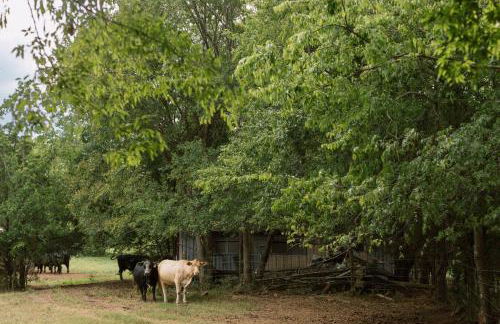 ~ The Cozy Farmhouse ~ | Sleeps 10+ | Farm Views - Foto 66