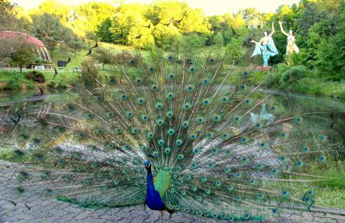 Aniyor Apartment Loft - Foto 12