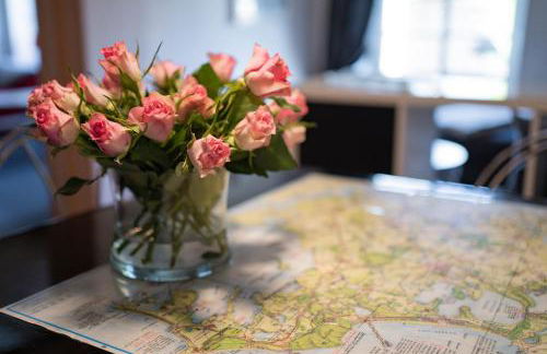 Gartenidyll Insel Rügen Poppelvitz bei Altefähr - Photo 10