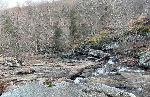 Entire Mountain Cottage Near Scenic Hiking Trails - Photo 52