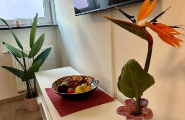 Ferienwohnungen GoJa - Foto 33