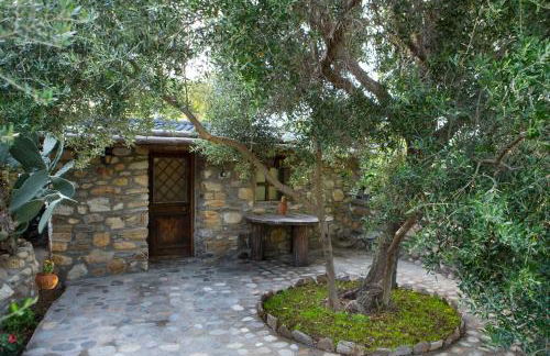 Captain Ikaros - Foto 18