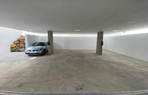 Flying La Palma - Sostenible - Foto 36