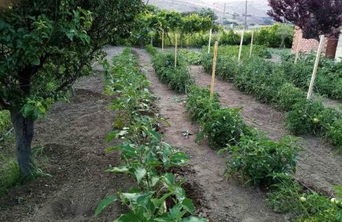 MANOLIS COTTAGE THANOS - Foto 21