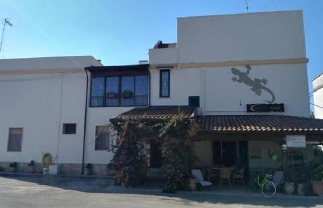 Gecko's House - Foto 17