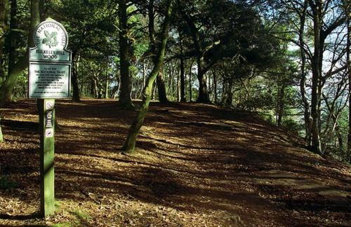 Cheshire Country Cottage, Bulkeley - Foto 25