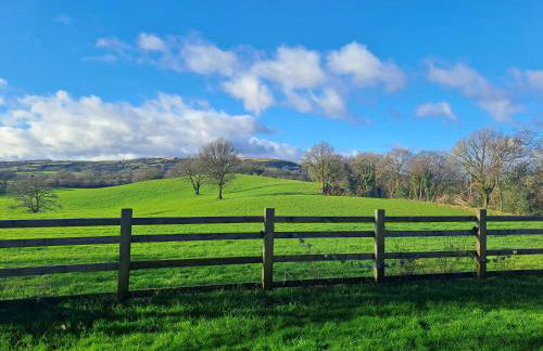 Celtic Minor Cottage - Foto 16