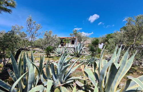 Orkula Hidden Paradise- Robinson Holiday House - Foto 9