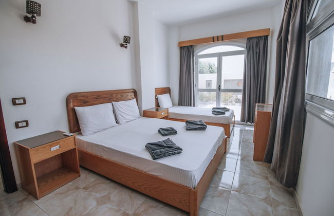 Studio - With Terrace - Foto 6