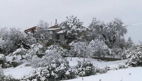 La casita encantada - Foto 2