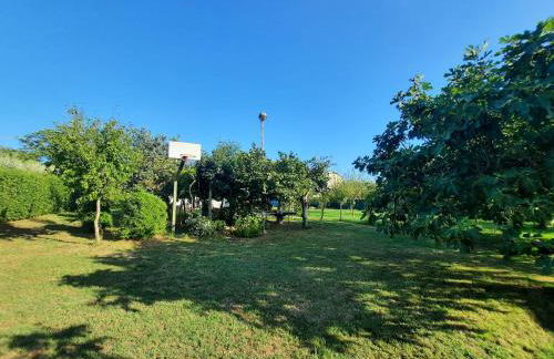 Casetta in Collina - Foto 25