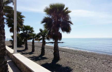 Apartamento BellaVista Algarrobo - Foto 44