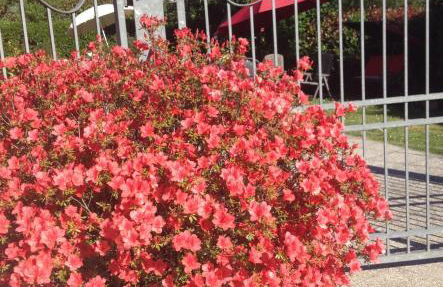 Il Ghiretto Appartamento - Photo 57