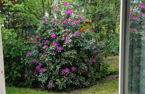 Waldhaus Dötlingen Ferienhaus im Naturpark - Foto 15