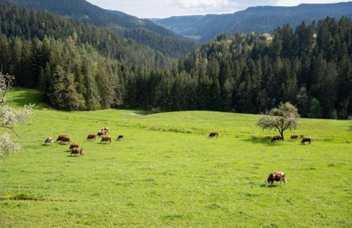 Ferienhaus, Muhlenbach - Foto 52