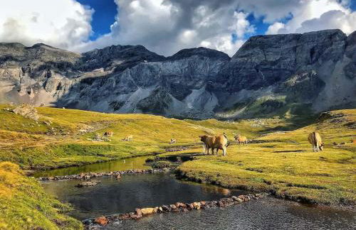 Séjour d'Exception - Villa 4 Suites Vue Cascade - Foto 20