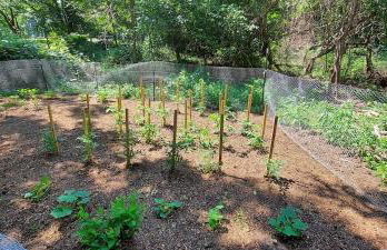 Clinton's Hidden Secret, a Distillerie until 1926 - Foto 17