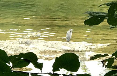 "Lovely Tiny House Rental for a Romantic Getaway in Shepherdstown, West Virginia - Foto 24