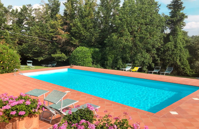 Bardeggiano - Caterina 3 (COL246) - Foto 2