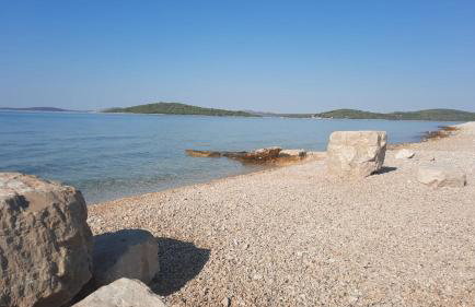 Oleander adria - Foto 45