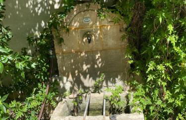 Cécile - Mas de Rousseau - Foto 13