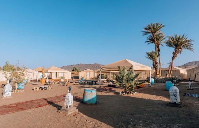 Camel Ride and Night in the Desert - Photo 5