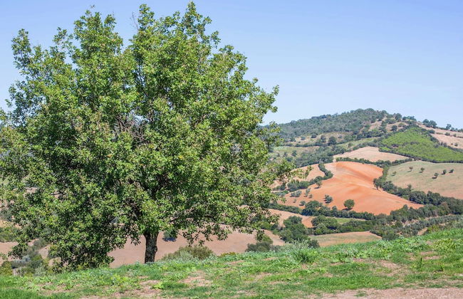 Pietra Bianca - Foto 31