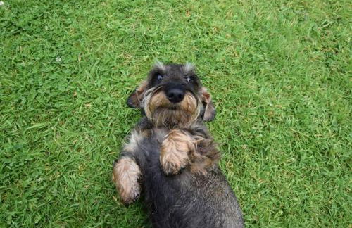 3 Bed in Annan oc-75355 - Foto 19