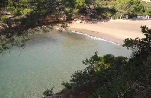 Maisonnette petit jardin barbecue Calafat Tridente 2 - Foto 19