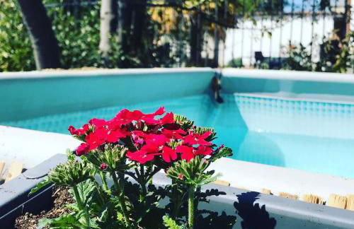 Villa Le Vignole - Photo 16