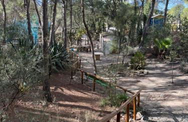 Casas Rurales La Navela - Foto 19