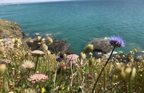 Glatigny Farmhouse - close to beach - proche de la plage - Foto 65