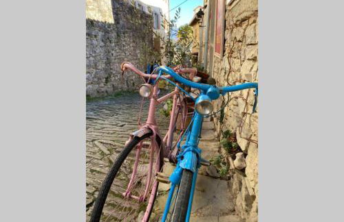 Villa Stanzietta Novigrad for 10 at Olive orchard - Foto 50