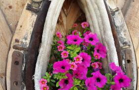 Ferienwohnungen Kuentnerhof - Foto 58