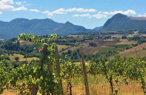 Villa Collepere Country House - Foto 12