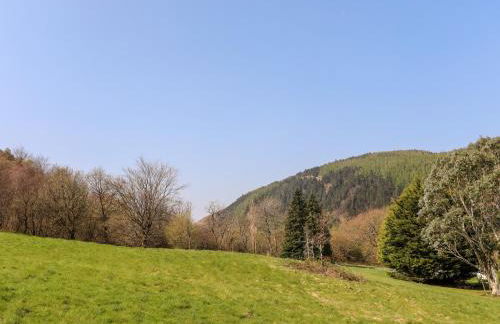 Gilfachwydd - Foto 48