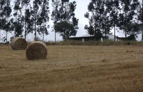 Courela do Salgueiro - Foto 25