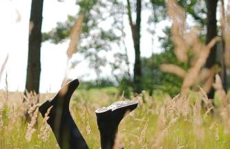 Krovacja - całoroczne domki w Puszczy Noteckiej - Foto 40